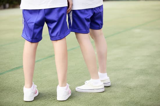 幼儿园小班教案《大大小小蛋》